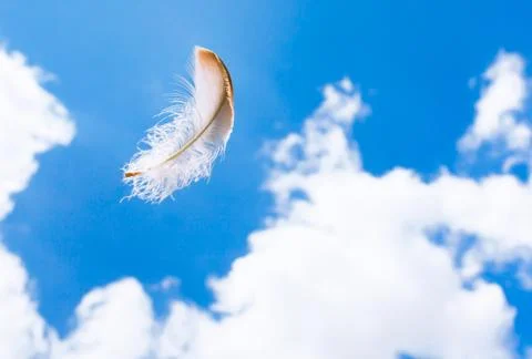 Feather floating in the sky. Stock Photos