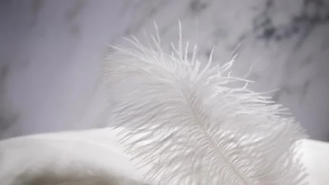 A feather flutters on pillow background, delicate fibers, serene softness Stock Footage 262946677
