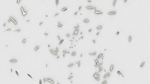 Feather Stock Footage 332203489