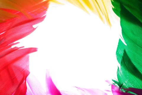 Feather frame Stock Photos