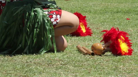 Feather Gourds Stock-Footage 30669013