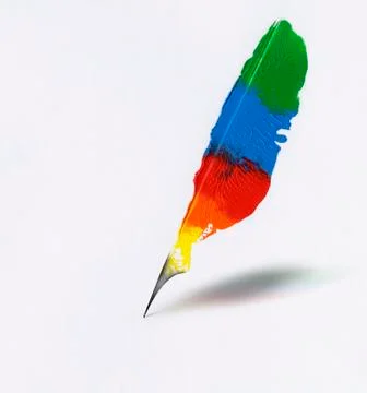 Feather graphic Illustrazione stock