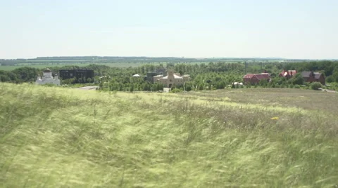 Feather grass field Stock Footage 42760448