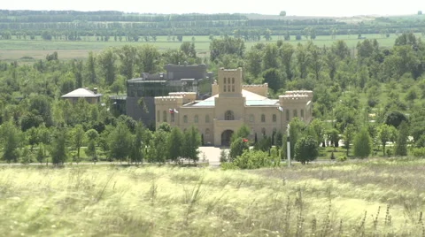 Feather grass field Stock Footage 42760564