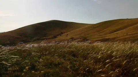 Feather grass at the foot of the hills Stock Footage 79406727