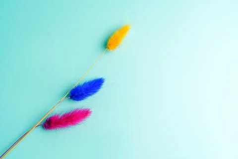 Feather grass plant with multi-colored pommels of yellow blue and red flowers Stock Photos
