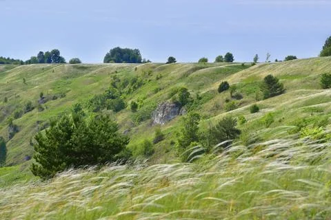 Feather grass on the slopes of the Sylva River valley in the foothills of the Stock Photos