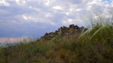 Feather grass in the sunset light- Dobrogea, Romania Stock Footage 142040993