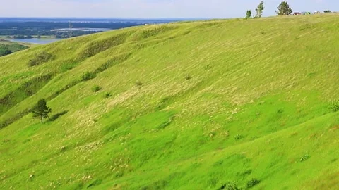 The feather grass sways in the wind on a hill near the river 動画素材 142510732