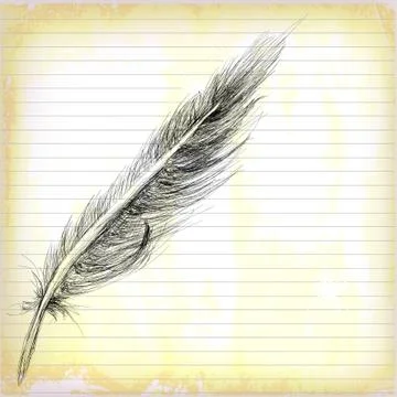 Feather hand drawn on old paper Stock Illustration