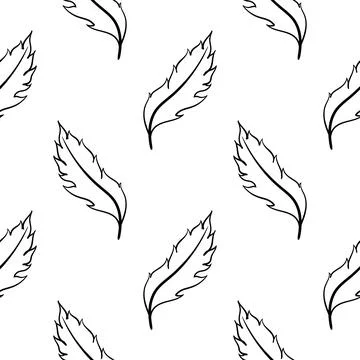 Feather hand drawn seamless pattern Stock Illustration