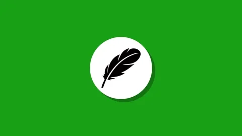 Feather icon animation on green screen, motion graphic of bird feather symb.. Video stock 329273013