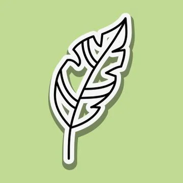 Feather icon design , vector illustration 스톡 일러스트