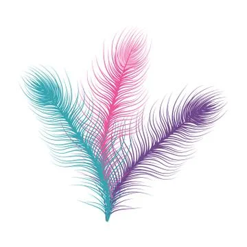 Feather icon isolated Stock Illustration