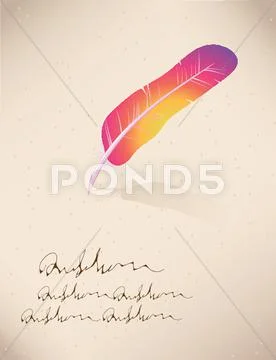 Feather Ilustraciones de archivo