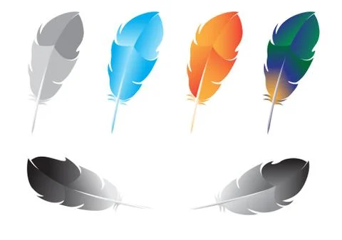 Feather Stock Illustration