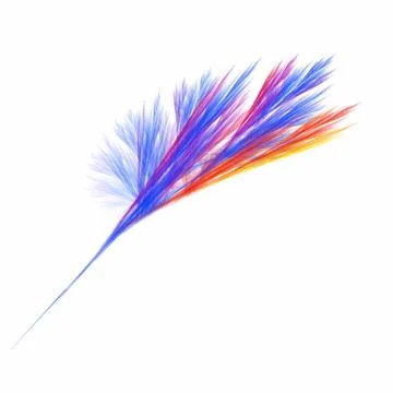 Feather Stock Illustration