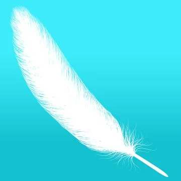 Feather Stock Illustration