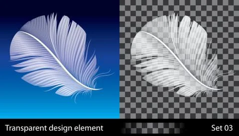 Feather Stock Illustration