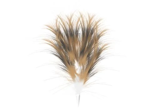 Feather Stock Illustration