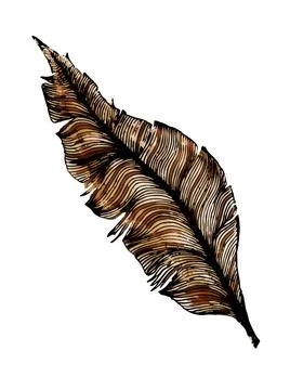 Feather Ilustración de archivo