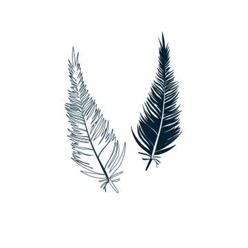Feather illustration vector Stock Illustration