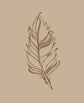 Feather isolated on beige background. Vector illustration. Brown Lined drawing Stock Illustration