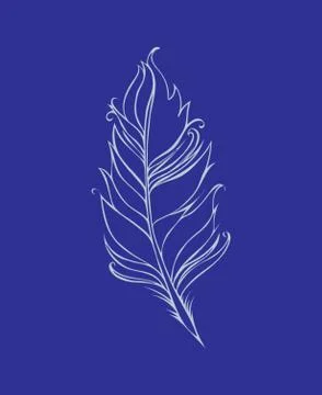 Feather isolated. Vector illustration. Lined drawing. Blue colors Stock Illustration