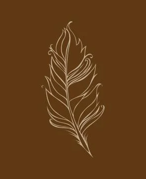 Feather isolated. Vector illustration. Lined drawing. Brown and beige colors Illustrazione stock