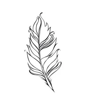 Feather isolated on white background. Vector illustration. Black Lined drawing Stock Illustration