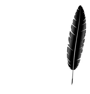 Feather isolated on white Stock Illustration