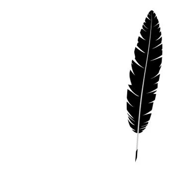 Feather isolated on white Stock Illustration