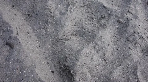 Feather Landing Stock Footage 2123892