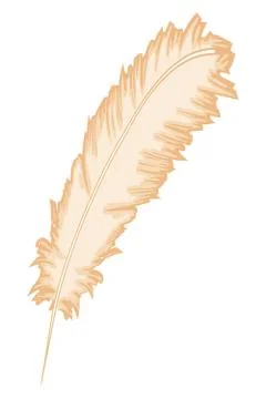 Feather leaf Illustrazione stock