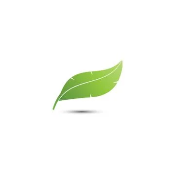 Feather logo icon template Stock Illustration
