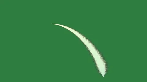 Feather Looping Motion Graphic Overlay Stock Footage 338016797