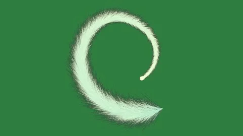 Feather Looping Transparent Background Animation Video stock 338016791