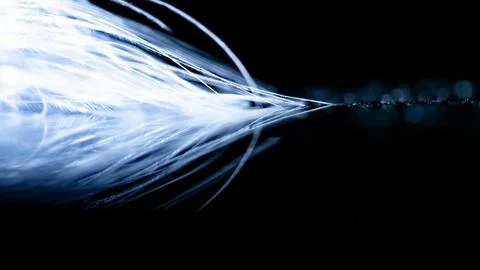 Feather (macro abstract) Stock Photos