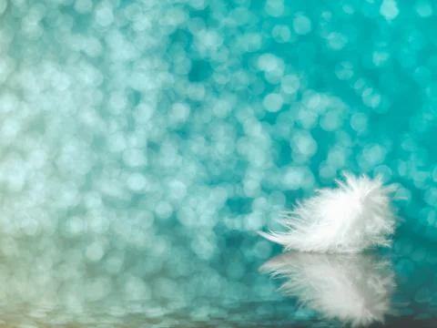 Feather on mirror with reflection, dysfocus light, bokeh, soft focus. Stock Photos