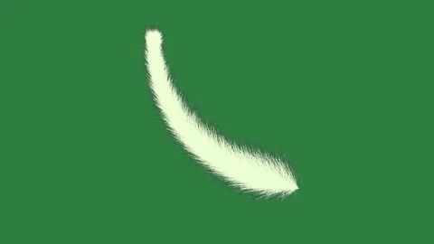 Feather Motion Motion Graphic Overlay Stock Footage 338016823