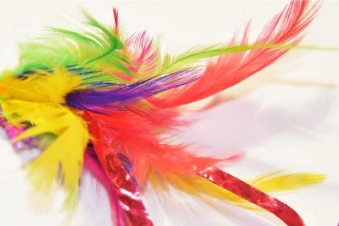 Feather parrot Stockfoto's