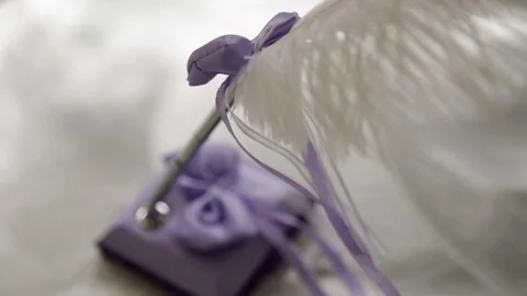 Feather Pen Stock Footage 105393236