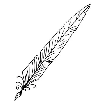 Feather pen hand drawn. Stock Illustration