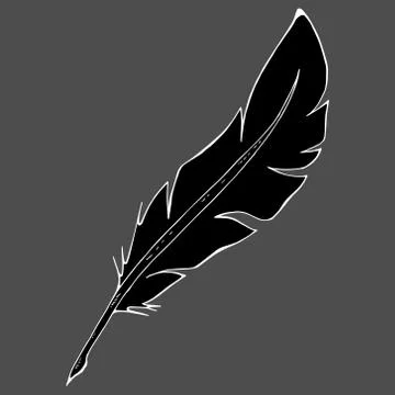 Feather pen icon. Vector illustration of a feather for calligraphy. Hand draw Stock Illustration