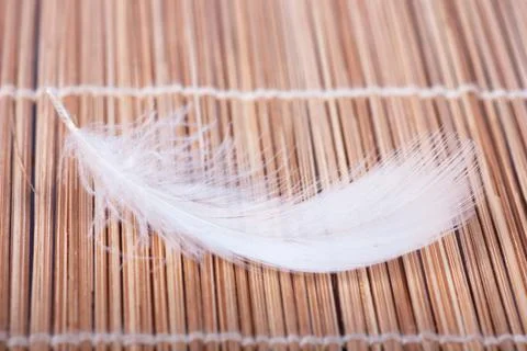 Feather Stock Photos