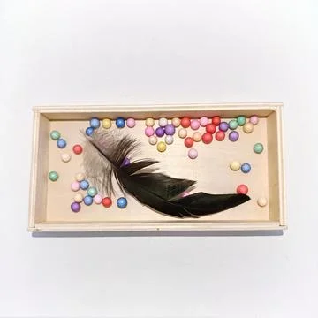 Feather Stock Photos