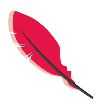 Feather pink. Vector isolated illustration. イラスト素材