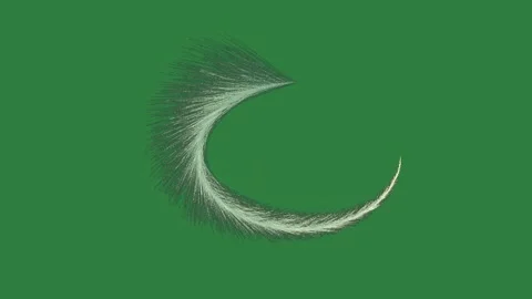 Feather Professional Motion Graphic Overlay Stock Footage 338016758