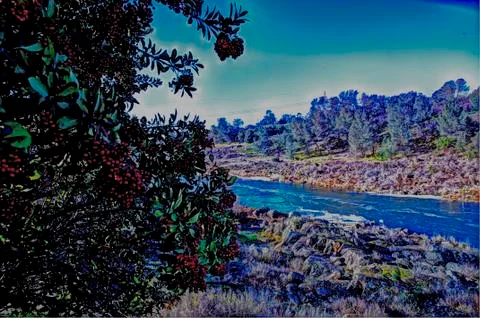 Feather River Foto stock
