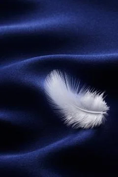 Feather on satin Stock Photos